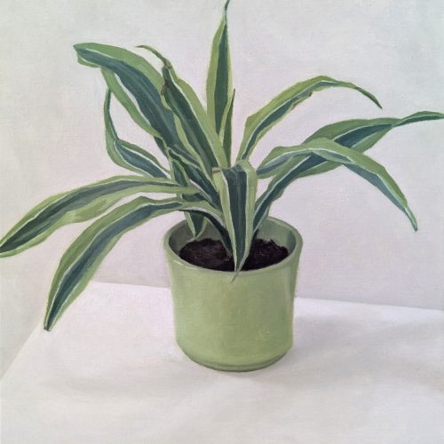 Maxime-Biou-petite-plante-verte-pot-vert-55x46-huile-sur-toile-2025