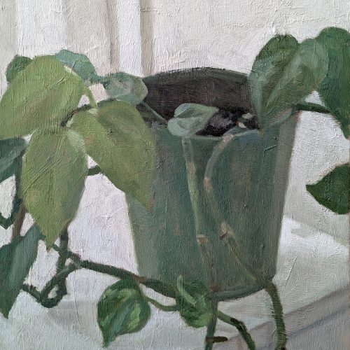 Maxime-Biou-plante-verte-atelier-41x33-huile-sur-toile-2025