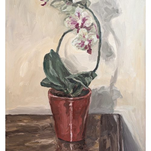 Maxime-Biou-2015-41x33-Orchidee-2