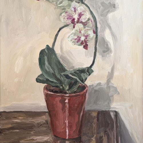 Maxime-Biou-2015-41x33-Orchidee