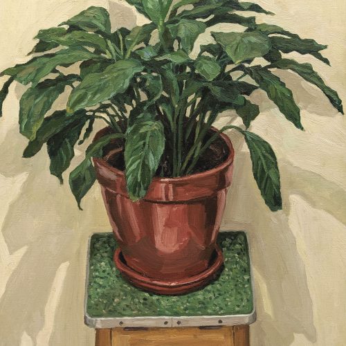 Maxime-Biou-2015-81x65-Plante-Verte-2