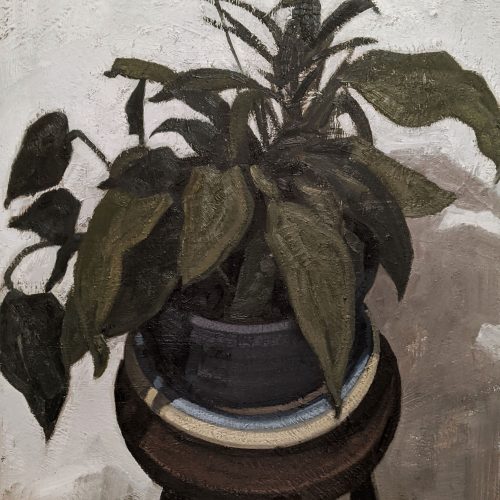 Maxime-Biou-2020-100x81-Plante-Verte-I2