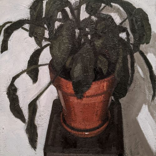 Maxime-Biou-2020-100x81-Plante-Verte-II