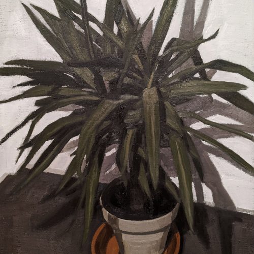 Maxime-Biou-2020-130x97-Plante-Verte-III-2