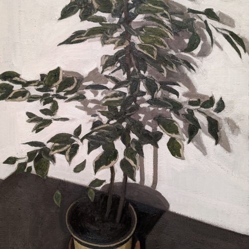 Maxime-Biou-2020-130x97-Plante-Verte-IV