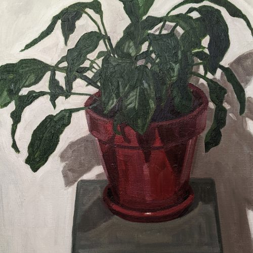 Maxime-Biou-2020-81x65-Plante-Verte-Salon-II