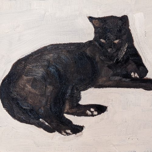 Maxime-Biou-chat-noir-38x46-huile-sur-toile-2021