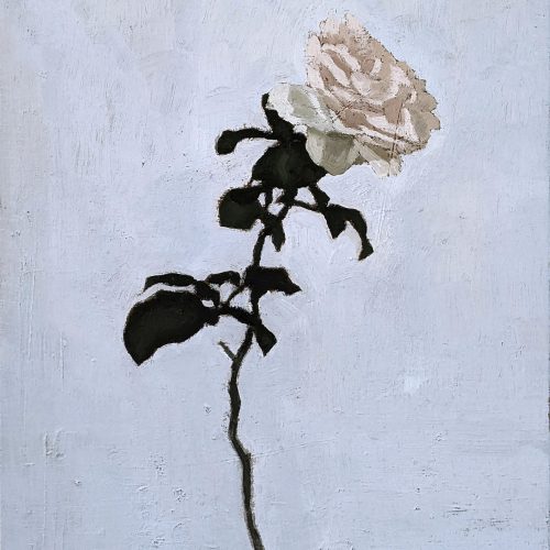 Maxime-Biou-Rose-Marolles-50x40-huile-sur-toile-2023