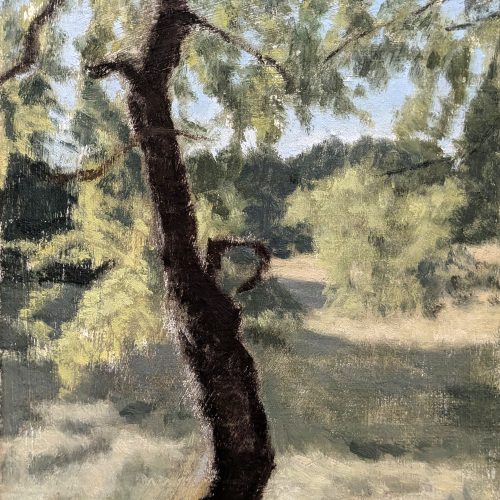 Maxime-Biou-Arbre-Lozere-27x19-huile-sur-toile-2024