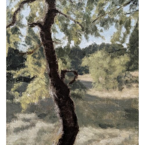 Maxime-Biou-Arbre-Lozere-27x19-huile-sur-toile-2024_2_2