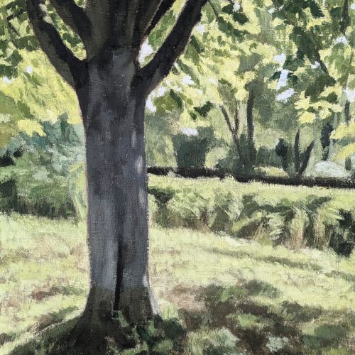 Maxime-Biou-Arbre-Lumiere-46x33-huile-sur-toile-2024