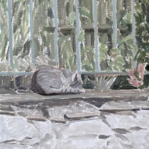 Maxime-Biou-chat-endormi-chevreuse-35x27-huile-sur-toile-2025-2