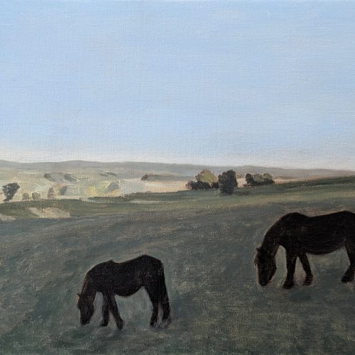 Maxime-Biou-cheveux-lozere-33x41-huile-sur-toile-2025-2