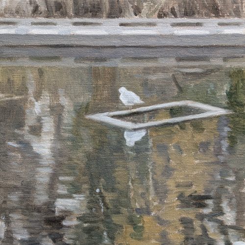 Maxime-Biou-mouette-parc-Brassens-33x24-huile-sur-toile-2025