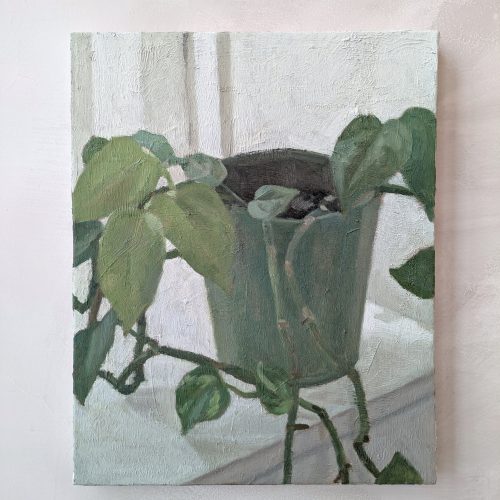 Maxime-Biou-plante-verte-atelier-41x33-huile-sur-toile-2025_2