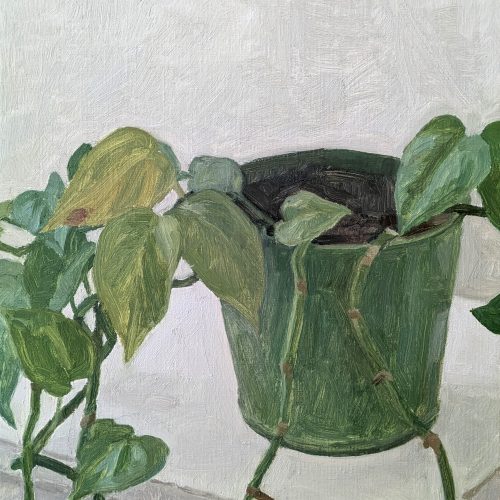 Maxime-Biou-plante-verte-atelier-46x33-huile-sur-toile-2025