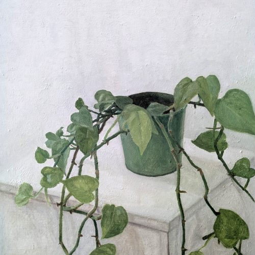 Maxime-Biou-plante-verte-atelier-81x65-huile-sur-toile-2025
