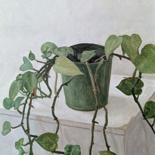 Maxime-Biou-plante-verte-atelier-61x50-huile-sur-toile-2025-2