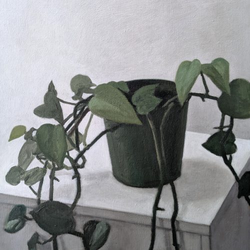 Maxime-Biou-plante-verte-atelier-61x50-huile-sur-toile-2025-2