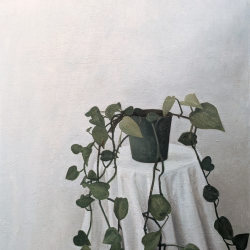 Maxime-Biou-plante-verte-atelier-116x89-huile-sur-toile-2025