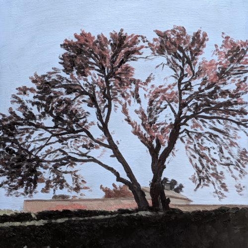 Maxime-Biou-arbre-rose-toulouse-61x50-huile-sur-toile-2026-2