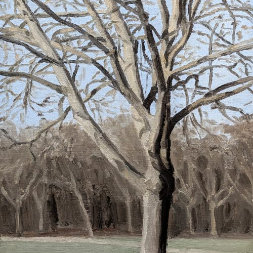 Maxime-Biou-arbre-vincennes-41x33-huile-sur-toile-2026-2