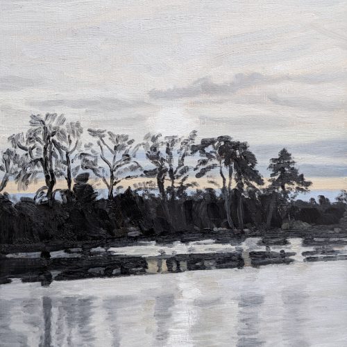 Maxime-Biou-lac-de-vincennes-lumiere-50x40-huile-sur-toile-2026-2