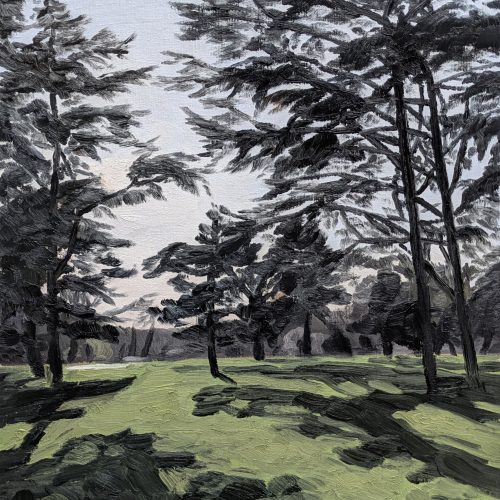 Maxime-Biou-limiere-arbres-vincennes-61x50-huile-sur-toile-2026-2