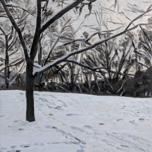 Maxime-Biou-neige-parc-Brassens-41x33-huile-sur-toile-2026