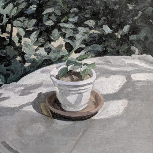 Maxime-Biou-petite-plante-verte-sur-table-en-pierre-a-la-Ruche-61x50-huile-sur-toile-2026