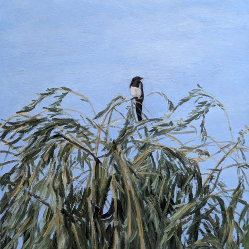 Maxime-Biou-pie-ciel-bleu-116x89-huile-sur-toile-2026-2