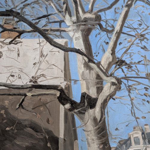 Maxime-Biou-platane-lumiere-arret-de-bus-89-50x40-huile-sur-toile-2026